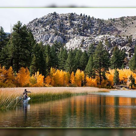 Lake Front Cabins จูนเลค ภายนอก รูปภาพ