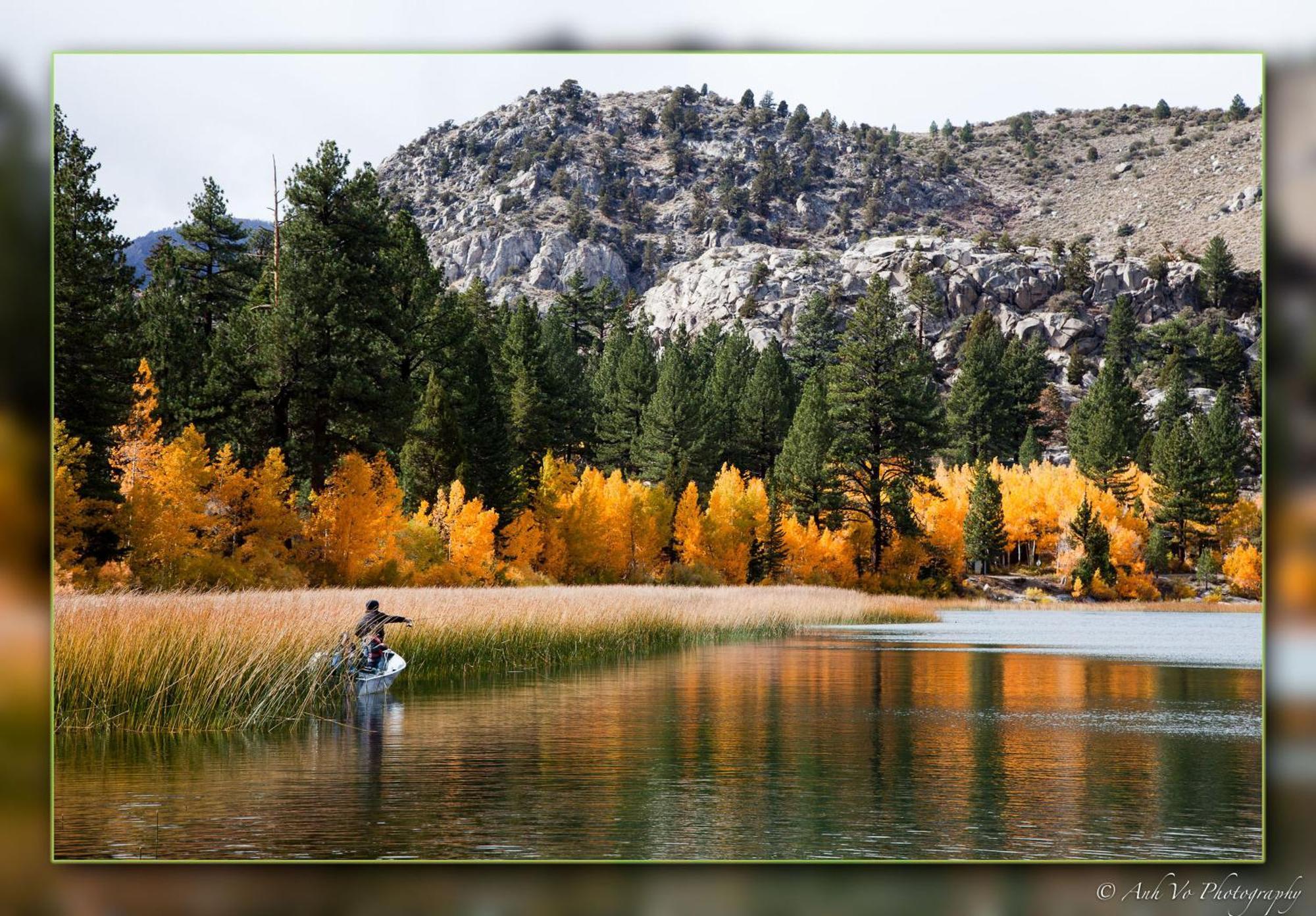 Lake Front Cabins จูนเลค ภายนอก รูปภาพ