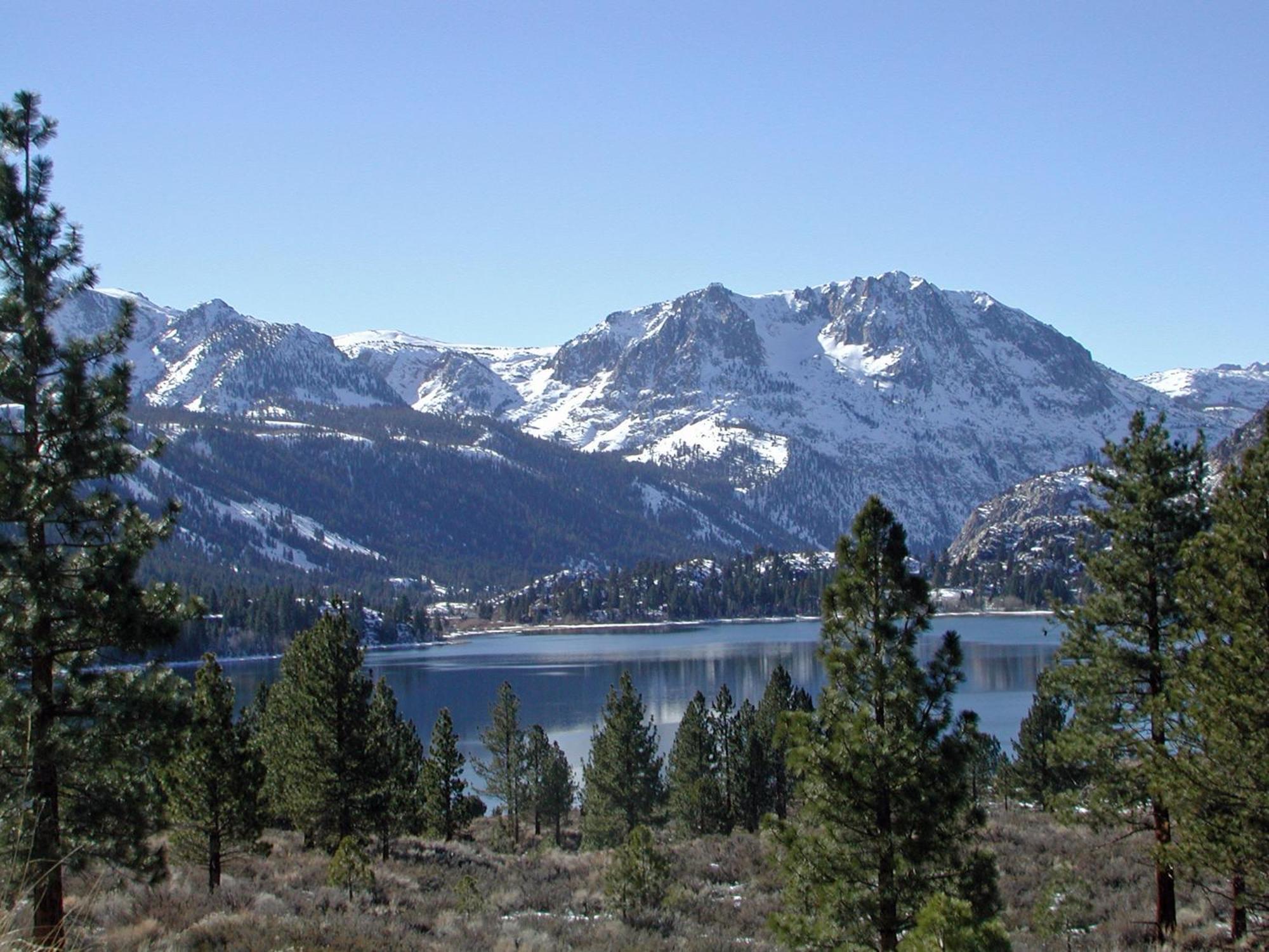 Lake Front Cabins จูนเลค ภายนอก รูปภาพ